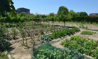 Peacefully Located Apartment in Gatteo Near Sea - Housity