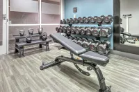 Hampton Inn Kingsville - Træningscentre