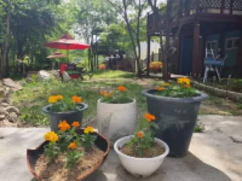 Yecheon Water Clear Mountain Pension 醴泉のホテル