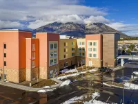 La Quinta Inn & Suites by Wyndham Flagstaff East I-40 Hotels near Fatman's Loop Trail