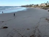 Cozy Wind and Sea Condo