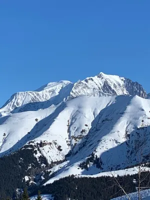 Megeve. Very nice little studio in residence ideal for winter and summer.
