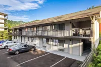 Cozy 1-bedroom apartment with WiFi, AC in delightful Gatlinburg