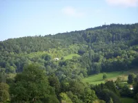 Renovated stone house, classified 3 stars between La Bresse and Gérardmer