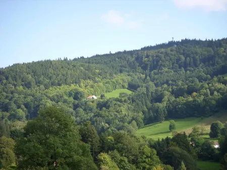 Renovated stone house, classified 3 stars between La Bresse and Gérardmer Отели в г. Бас-Сюр-ле-Рюпт