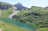 Appartement Plein Centre du Chinaillon