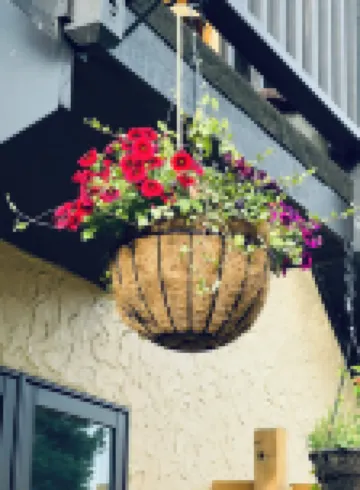 AFFORDABLE Glorified Basecamp -"The Bird House"