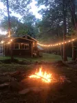 Secluded Peaceful Cabin in the Forest