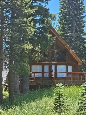 Bear Valley Alpine Cabin-3bdrm2bth