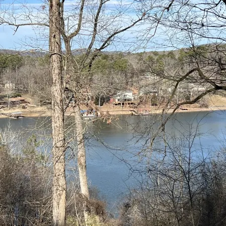 Cottage in the woods. In a safe gated community near Lake Catherine.