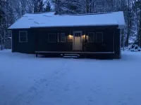 Whitetail Hollow Hotels in Missaukee County