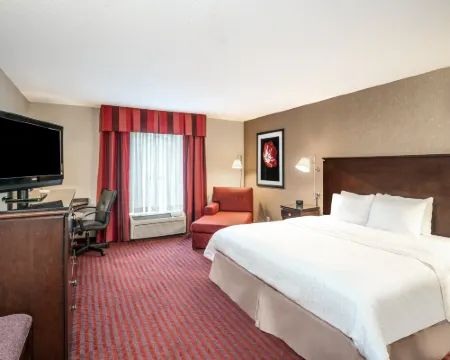 Hampton Inn Richmond - Airport Hotels in Sandston