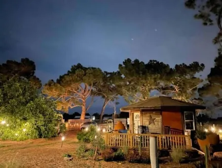 Stay on the farm - 1 bedroom cottage with deck outside of Davis