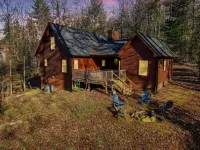Blue Moon Cabin - Fast Internet and Hot Tub Hôtels à proximité de : Vogel State Park