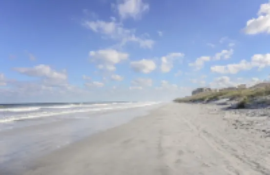 Ocean Front Beach Den -Near Mayo Clinic