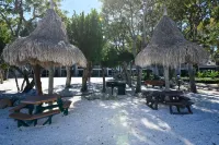 Brand New Listing! Beautiful - Upscale newly remodeled Modern Tropical Oasis!