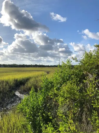 Top Floor, Partial Oceanview, Peaceful Condo Отели рядом с достопримечательностью «St Simons Island»