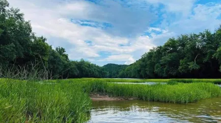 Jewel’s Covered Wagon