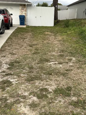 Cozy little apartment in Sprin Hill!