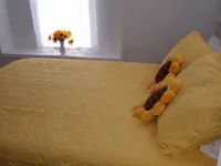 Country Setting on Florida's Nature Coast.