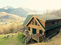BABY BEAR’S CABIN, REAL LOG CABIN, SPECTACULAR VIEWS, HOT TUB, FIRE PIT