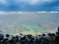 TOTALLY REMODELED Tropical Paradise Studio with A/C & washer/dryer Hotels in Princeville