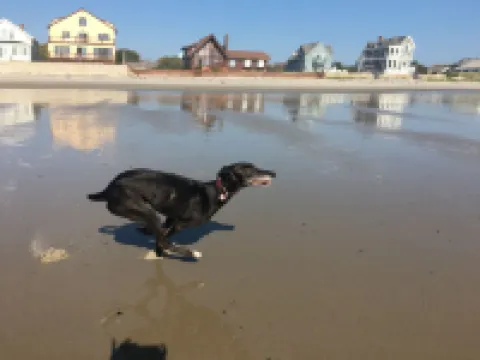 A second floor apartment with en-suite near UNE, Southern Maine beach’s.