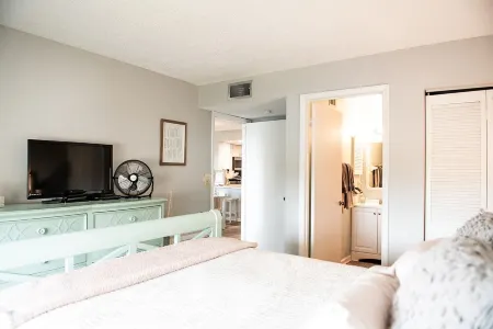 PRIME Location & Private Beach Access! Palm Tree Paradise Отели в г. Сейнт Огастин Бич