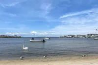 錫賽德帕克, 步行數分鐘可達海灘和海灣的豪華獨立海濱度假屋 - 民宿