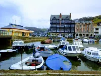 Seahorse central Dartmouth Town