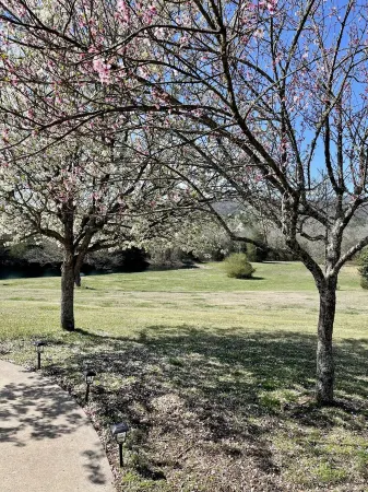 Mountain View Stay LLC -  The perfect place to get away, relax and enjoy nature. Отели в г. Фридом Тауншип