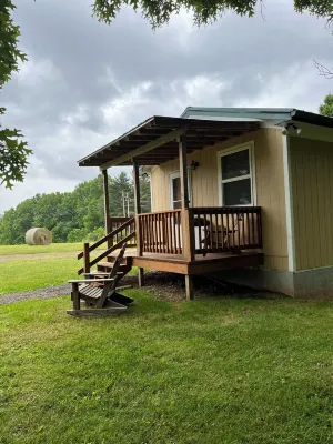 Cozy and comfortable1BR cabin on the Blue Ridge Parkway in Floyd VA.