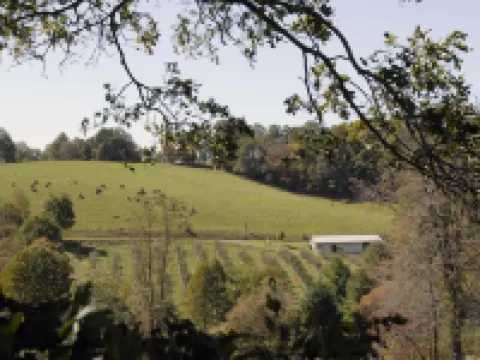 Newly Renovated Former Cider House with outdoor covered patio and gas grill. Hotels in Laurel Fork