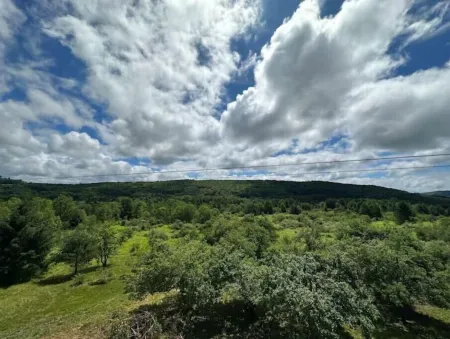 Scenic CountryHouse on 122 acres