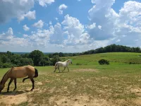 The Bunkhouse @Dragonfly Ranch is made to make you feel like home away from home