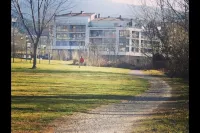 The House
