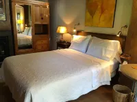 Beautiful and Lush Hidden Wisteria Getaway