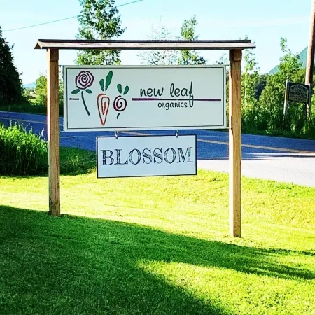 Cozy mountain yurt on an organic farm