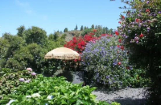 Rural house El Morro. Near the Caldera de Taburiente with jacuzzi.