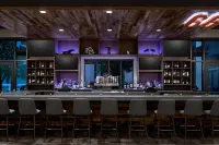Marriott Dallas Allen Hotel & Convention Center - bar
