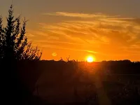 Round Top Refuge Guest House Hotels in Fayette County