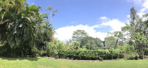 Spacious home in a lush green piece of paradise