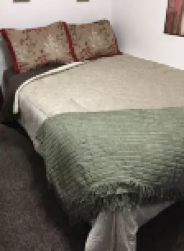 Main Floor 2 Bedroom, 1 Bath, Easy Walk to Mayo Clinic, Trails, Parks, Shopping