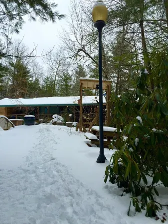 Summer Special - Cozy, Private Cabin, Mountain View, Pet Friendly
