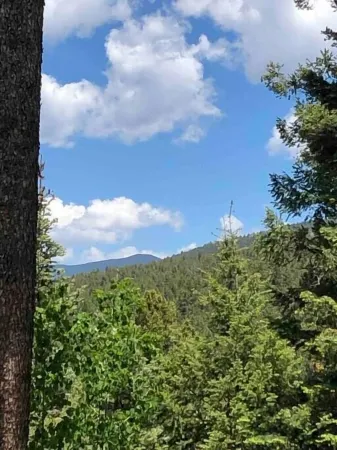 Ski in/out Stunning remodeled 1/1 ground floor