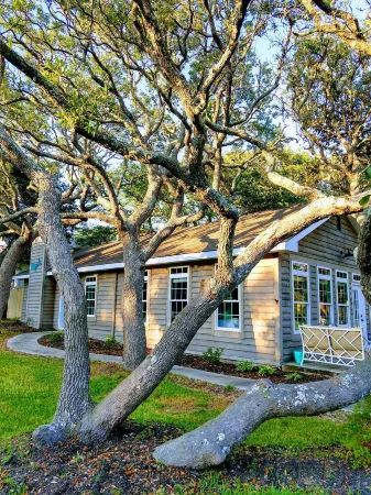 Adorable Cottage By the Sea - Ocean View - 1/2 Block Walk to Beach - Fenced Yard