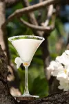 Radisson Blu Resort Temple Bay Mamallapuram - bar