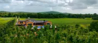 Whispering Woods Chalet