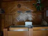 Hotel River View Naran Hotels in Naran