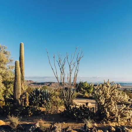 5 Miles from Park entrance Charming 2-bedroom house in enchanting Joshua Tree